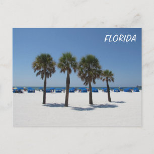 Clearwater Beach FL Postcard