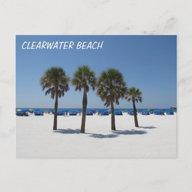 Clearwater Beach FL Postcard (Front)