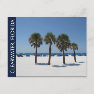 Clearwater Beach FL Postcard