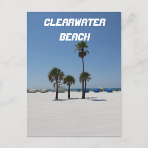 Clearwater Beach Florida Postcard