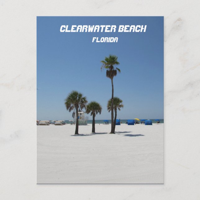 Clearwater Beach Florida Postcard (Front)