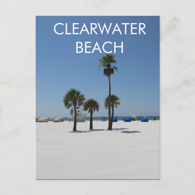 Clearwater Beach Florida Postcard (Front)