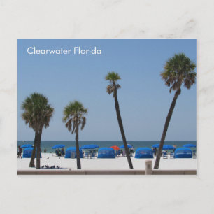 Clearwater Beach, Florida Postcard