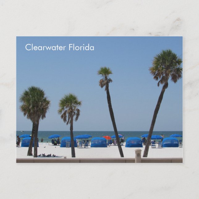 Clearwater Beach, Florida Postcard (Front)
