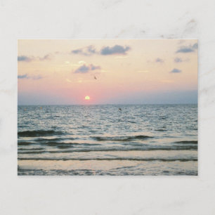 Clearwater Beach sunset postcard