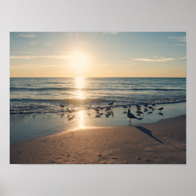 Clearwater Beach Sunset Poster (Front)