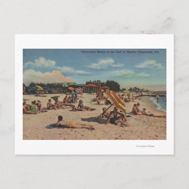 Clearwater, FL - Sunbathers on Clearwater Beach Postcard (Front)