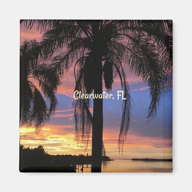 Clearwater, Florida landscape photo Magnet (Front)