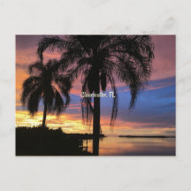 Clearwater, Florida landscape photo