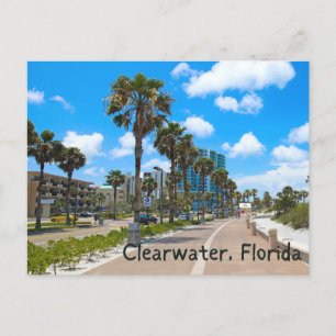 clearwater florida postcard
