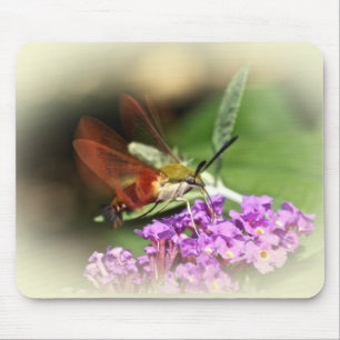 Clearwing Hawk Moth - Hemaris thysbe Mouse Mat