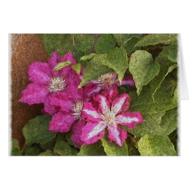 clematis (Front Horizontal)