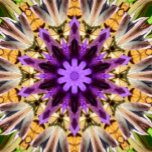 CLEMATIS<br><div class="desc">A beautiful and vibrant abstract design of a purple clematis flower.</div>
