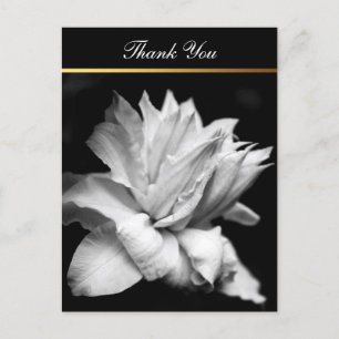 Clematis 1b Memorial Sympathy Thank You Postcard