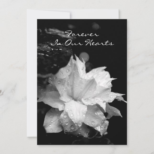 Clematis 2a Dewdrops Funeral Memorial Announcement (Front)