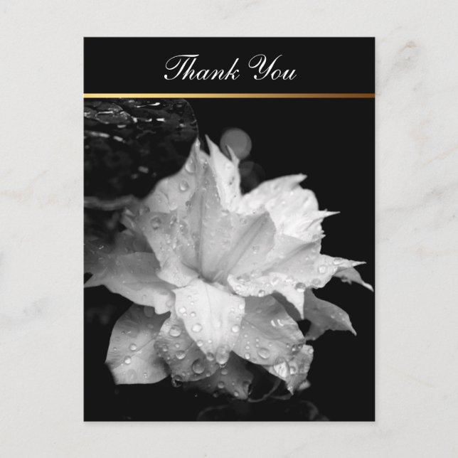 Clematis 2c Floral BW Photo Sympathy Thank You Postcard (Front)