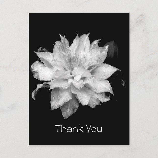 Clematis 3a Memorial Sympathy Thank You Postcard (Front)