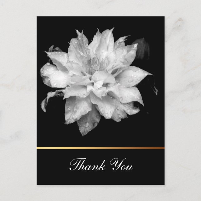 Clematis 3c Floral B&W Photo Sympathy Thank You Postcard (Front)