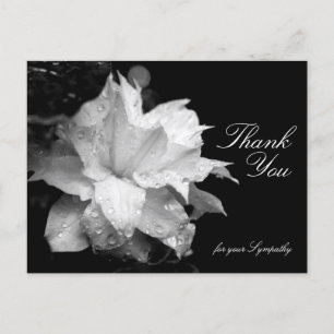 Clematis and Dewdrops Sympathy Thank You P Postcard