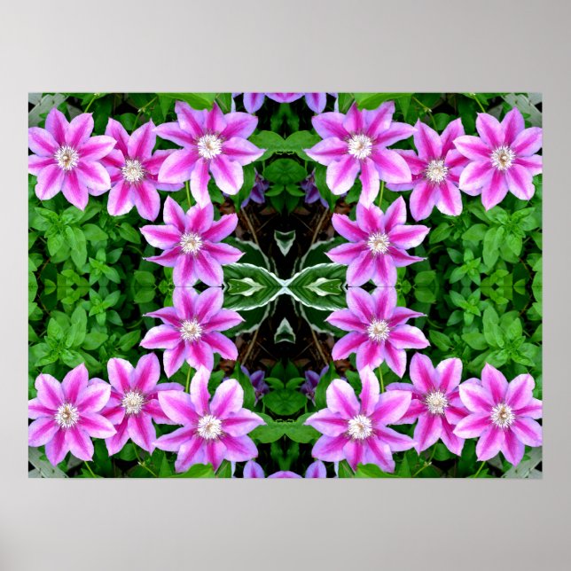 Clematis and Oregano, pink flowers green botanical Poster (Front)