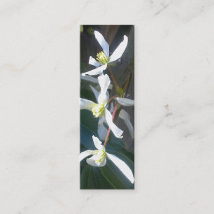 Clematis Armandii Blossom Bookmark Business Card