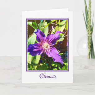 Clematis Blank Greeting Card