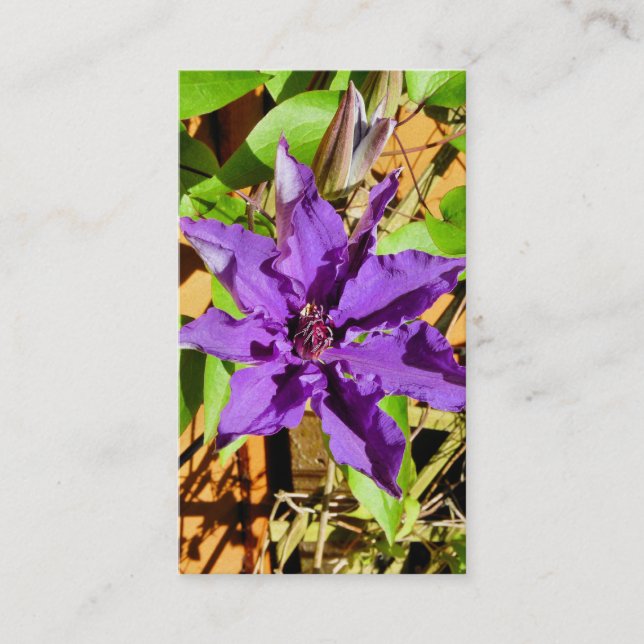 CLEMATIS BUSINESS CARD (Front)