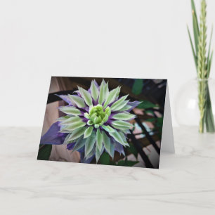 Clematis, card