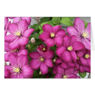 Clematis Card