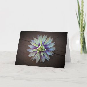 Clematis, card