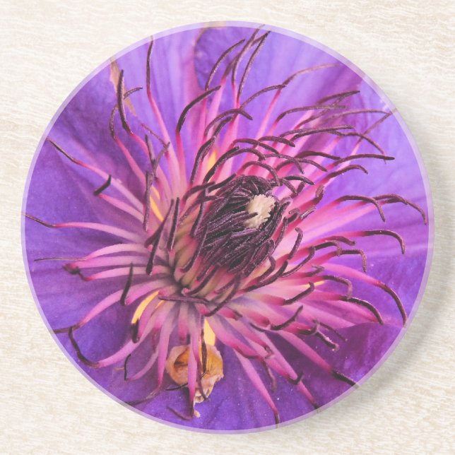 CLEMATIS COASTER (Front)