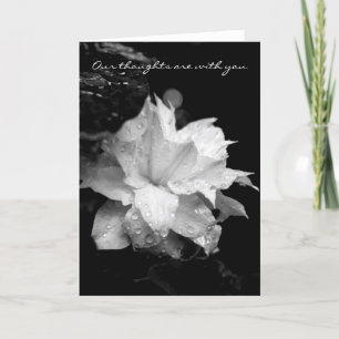 Clematis Dewdrops 2 Condolences Sympathy card