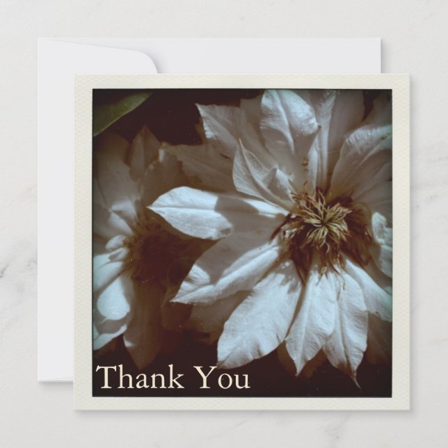 Clematis Floral Photography Thank You S Flat Card (Front)