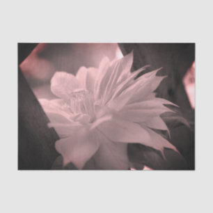 Clematis Flower Black And White Vintage Decoupage Tissue Paper