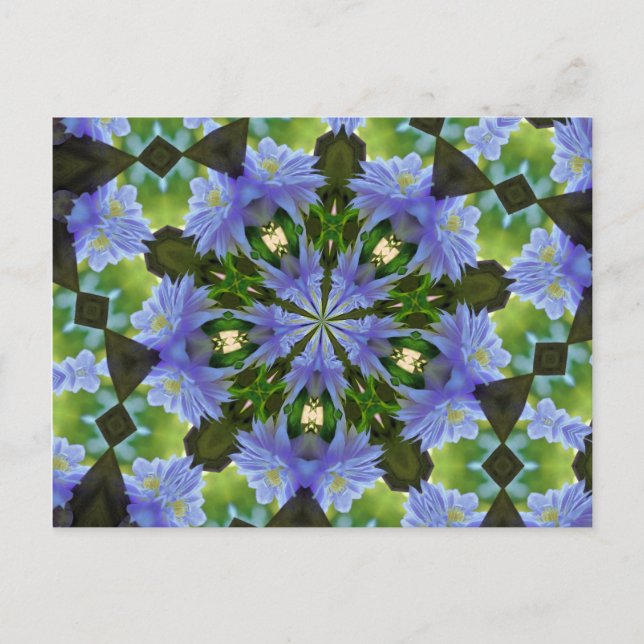 Clematis Flower Kaleidoscope Postcard (Front)