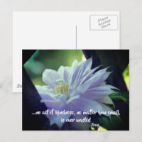 Clematis Flower Kindness Inspirational Quote