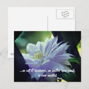 Clematis Flower Kindness Inspirational Quote  Postcard