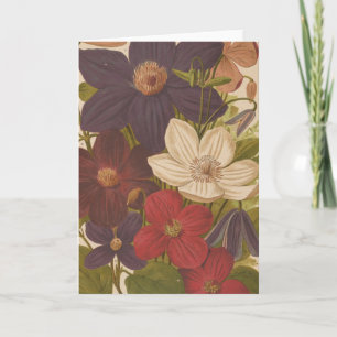 Clematis   George Nicholson Card