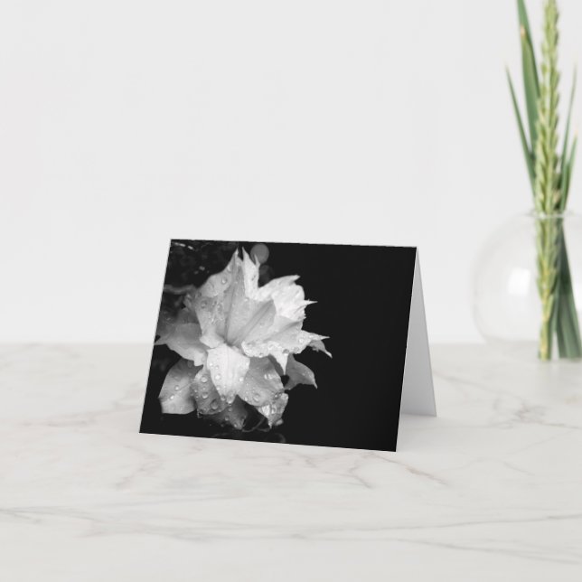 Clematis H 3 Blank Note Card Condolences Sympathy (Front)