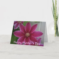 Clematis, Happy Mother's Day