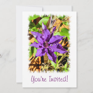 CLEMATIS INVITATION