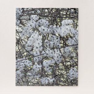 CLEMATIS  JIGSAW PUZZLE