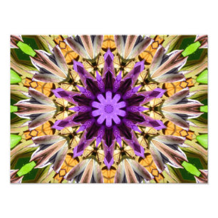 CLEMATIS PHOTO PRINT