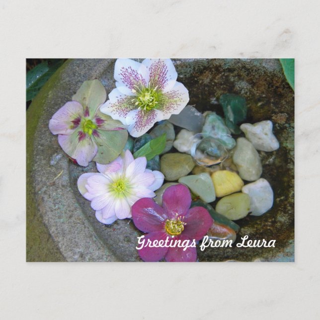 Clematis Postcard (Front)