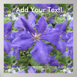 Clematis Purple Green Flower Poster