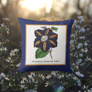 Clematis Star of India Botanical Illustration Cushion