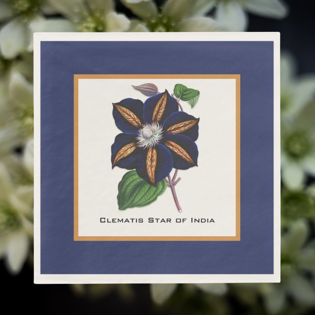 Clematis Star of India Botanical Illustration  Napkin (Creator Uploaded)