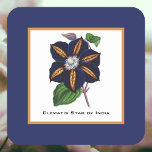 Clematis Star of India Botanical Illustration Square Paper Coaster<br><div class="desc">This vintage botanical illustration features a large and vivid deep blue Star of India clematis bloom with gold stripes in its petals. The text says "Clematis Star of India" similar to the original botanical drawing, but you can edit the text, e.g. if you wanted to monogram it with your name...</div>