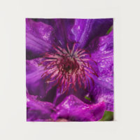 Clematis The President 