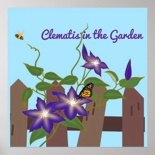 Clematis Vine in the Garden  Poster (Front)